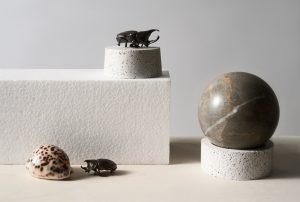 Lovely Grub: Are Insects the Future of Food? 30 Lovely Grub: Are Insects the Future of Food?