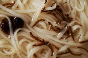 Lovely Grub: Are Insects the Future of Food? 29 Lovely Grub: Are Insects the Future of Food?