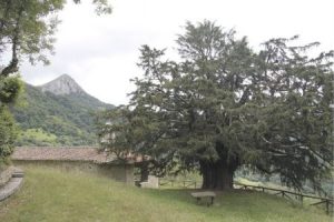 Fairies and Pagan Mythologies in the Medieval Spanish Ballad 27 Fairies and Pagan Mythologies in the Medieval Spanish Ballad