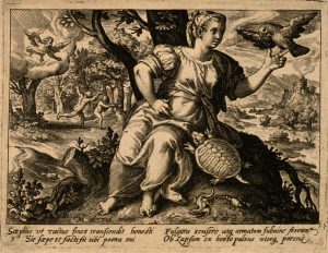 Scurvy and the Terra Incognita 24 Scurvy and the Terra Incognita