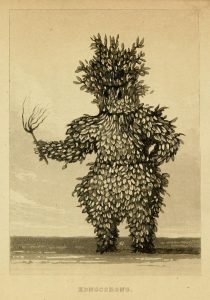 Forgotten Failures of African Exploration 26 Forgotten Failures of African Exploration