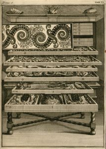 Redressing the Balance: Levinus Vincent’s Wonder Theatre of Nature 35 Redressing the Balance: Levinus Vincent’s Wonder Theatre of Nature