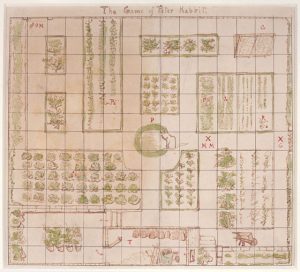 The Tale of Beatrix Potter