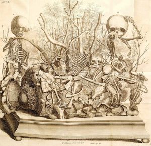 Frederik Ruysch: The Artist of Death