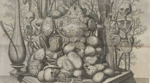 012418-22-Fredereik-Ruysch-Art-History