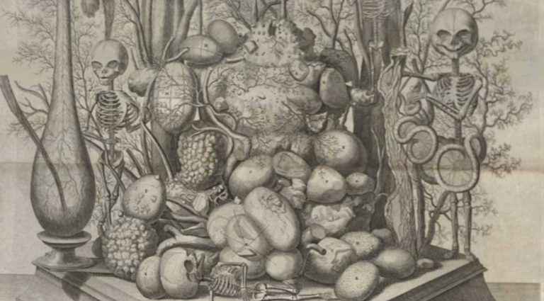 012418-22-Fredereik-Ruysch-Art-History