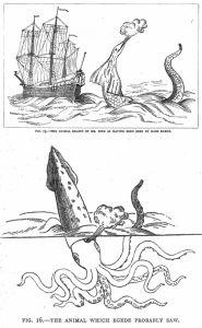 Olaus Magnus’ Sea Serpent
