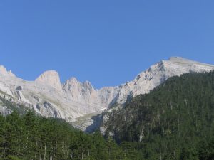 Hesiod and the Poetics of Pan-Hellenism