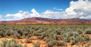 'Outrageous' Gold Rush-Style Grab of Public Lands To Begin in Less Than 48 Hours