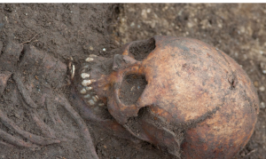 Trumpington Cross Goes on Display for the First Time 29 Trumpington Cross Goes on Display for the First Time