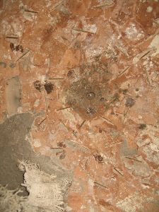 Hopes for a Happy Hereafter in the Ancient World