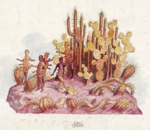 Illustrating Carnival: Remembering the Overlooked Artists Behind Early Mardi Gras