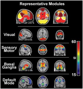 Sensation and Perception: How We Interpret Our World and Shape Reality