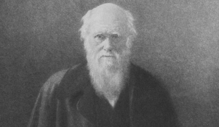 031218-51-Science-Biology-Life-Evolution