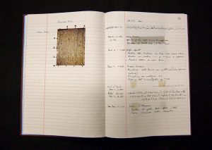 Processing the Material Record of the Tomb of Nefertari Project