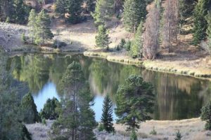 Making America Great Again Requires Acting on Scientific Knowledge