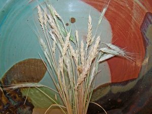 Reconstructing Medieval Bread 31 Reconstructing Medieval Bread
