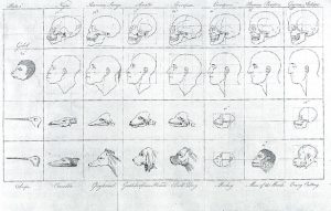 Physiognomy, the Beautiful Pseudoscience 14 Physiognomy, the Beautiful Pseudoscience