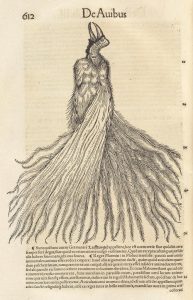 Fallen Angels: Birds of Paradise in Early Modern European Art