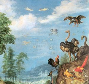 Fallen Angels: Birds of Paradise in Early Modern European Art