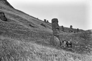 The Easter Island Moai 18 The Easter Island Moai