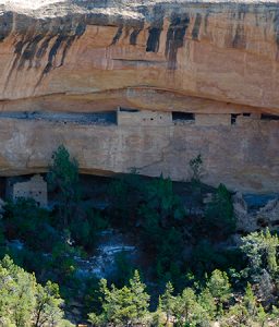 Mesa Verde: Ancestral Puebloan Homes in Cliffs 31 Mesa Verde: Ancestral Puebloan Homes in Cliffs