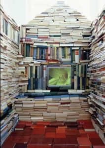 Chambers of Art and Wonders in Early Modern Europe