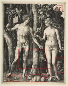 Imperial Woodcuts: The Art of Albrecht Dürer in Late Medieval Europe 34 Imperial Woodcuts: The Art of Albrecht Dürer in Late Medieval Europe