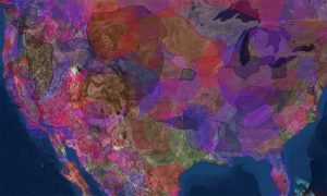 This App Can Tell You the Indigenous History of the Land You Live On