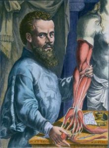 Andreas Vesalius: The Man Who Revolutionized Our Knowledge of the Human Body 20 Andreas Vesalius: The Man Who Revolutionized Our Knowledge of the Human Body