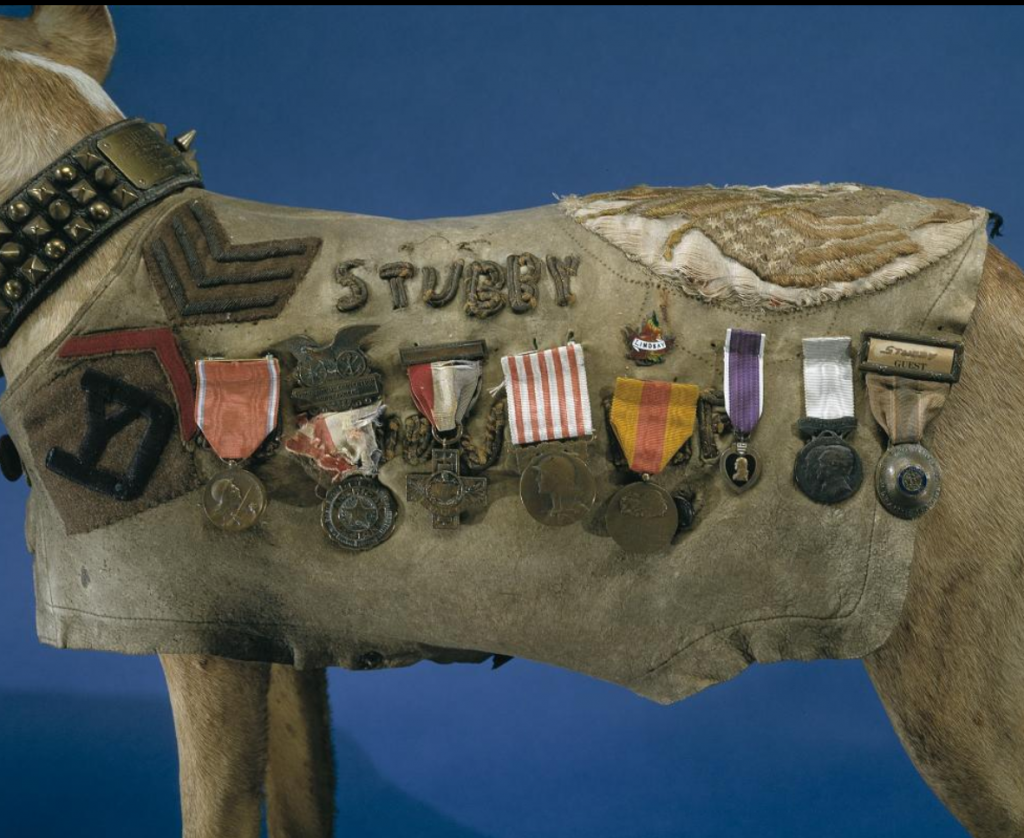 sgt stubby gas mask