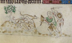 The Monstrous Ant of the Medieval Bestiary 14 The Monstrous Ant of the Medieval Bestiary