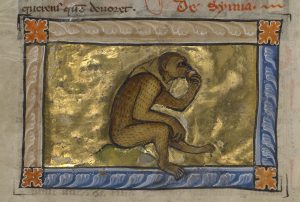 Monkey See, Monkey Do, Monkey Sin: The Devilish Ape of Medieval Manuscripts 14 Monkey See, Monkey Do, Monkey Sin: The Devilish Ape of Medieval Manuscripts