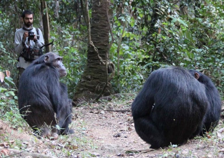 050818-11-Evolution-Bioiology-Language-Linguistics