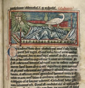 The Caladrius, Harbinger of Hope or Despair in the Medieval Bestiary 17 The Caladrius, Harbinger of Hope or Despair in the Medieval Bestiary