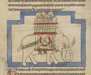 The Implausible Medieval Elephant 13 The Implausible Medieval Elephant