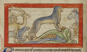 The Panther, Alpha and Omega of the Medieval Bestiary 16 The Panther, Alpha and Omega of the Medieval Bestiary