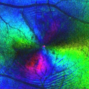 70 Years of Instant Photos, Thanks to Inventor Edwin Land's Polaroid Camera 22 70 Years of Instant Photos, Thanks to Inventor Edwin Land's Polaroid Camera