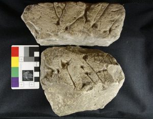 6,000-Year-Old Monument Offers Tantalizing Glimpse of Britain's Neolithic Civilization 20 6,000-Year-Old Monument Offers Tantalizing Glimpse of Britain's Neolithic Civilization