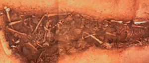 Mass Grave Reveals Organized Violence among Europe's First Farmers 19 Mass Grave Reveals Organized Violence among Europe's First Farmers