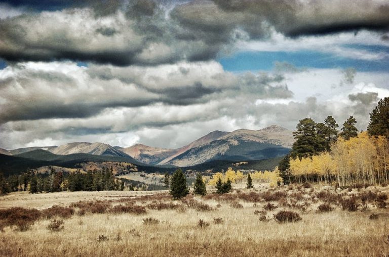 060218-45-Butchers-Crossing-Literature