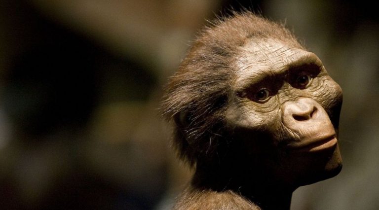 060718-36-Evolution-Biology-Environment-Prehistory-History