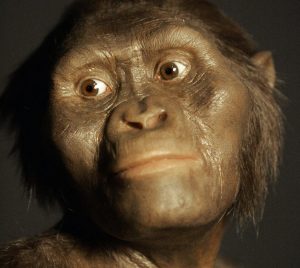 How a Changing Landscape and Climate Shaped Early Humans 10 How a Changing Landscape and Climate Shaped Early Humans