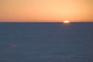 Mother's Milk Holds the Key to Unlocking an Evolutionary Mystery from the Last Ice Age