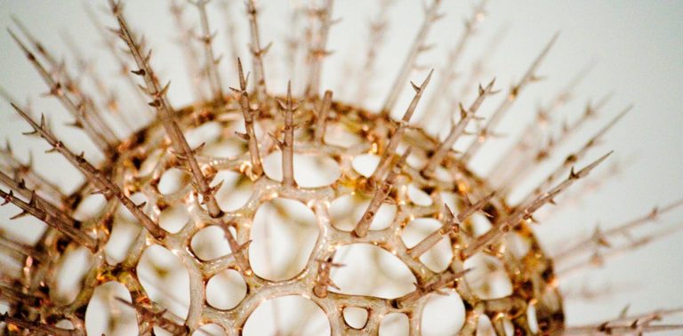 060818-09-Evolution-Biology-Disease-History