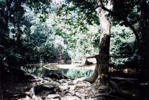 The Unintended Consequences of UNESCO World Heritage Listing 22 The Unintended Consequences of UNESCO World Heritage Listing