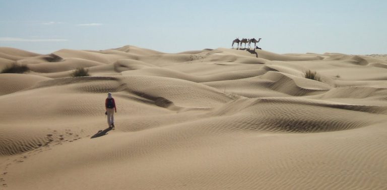 060818-38-History-Sahara-Climate-Environment