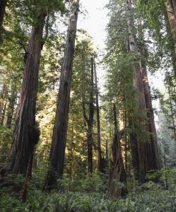 5 Places to View Pre-Colonial America 25 5 Places to View Pre-Colonial America