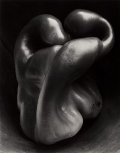 How Photography Evolved from Science to Art 20 How Photography Evolved from Science to Art