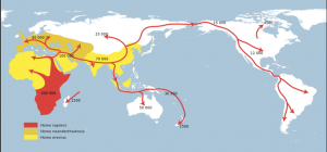 How Genetics Helped Crack the History of Human Migration 9 How Genetics Helped Crack the History of Human Migration